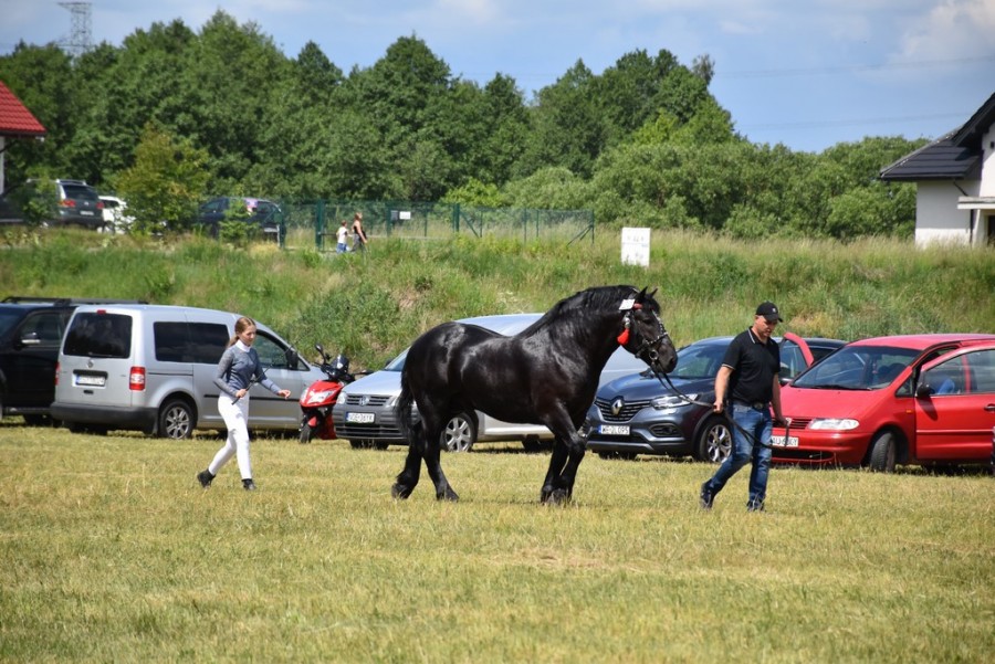dsc_1312.jpg