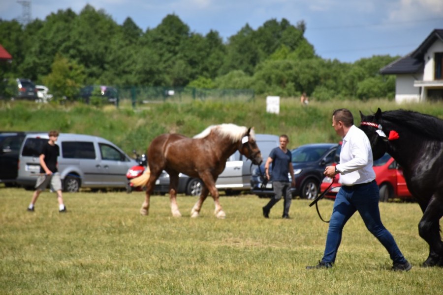 dsc_1313.jpg