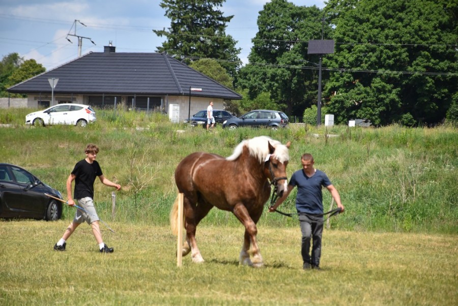 dsc_1314.jpg