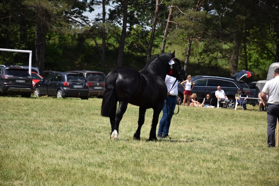dsc_1320.jpg