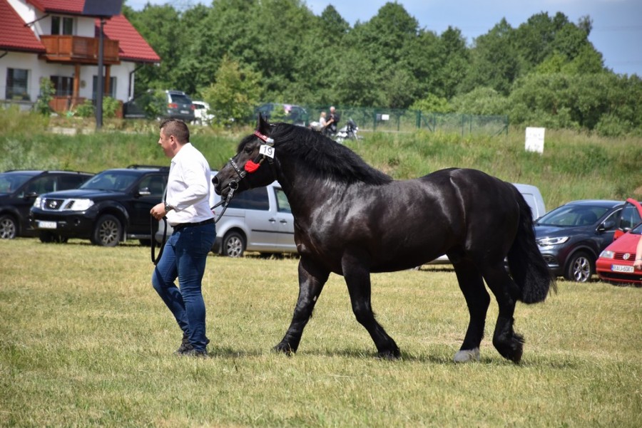 dsc_1321.jpg