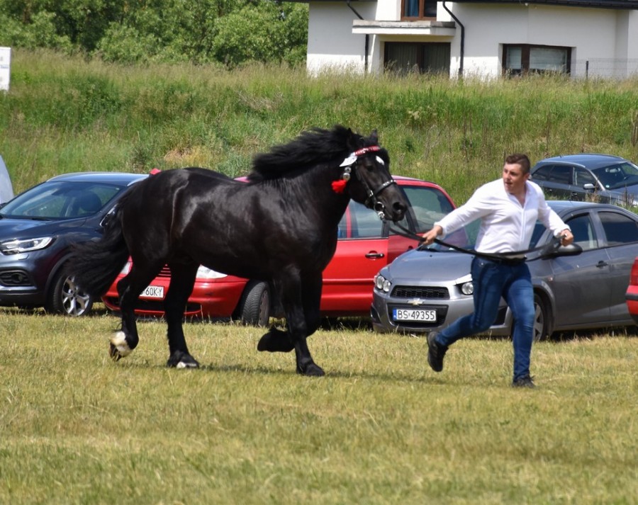 dsc_1322.jpg