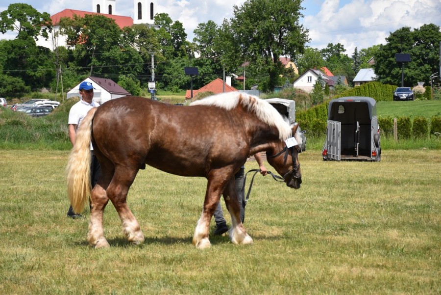 dsc_1323.jpg