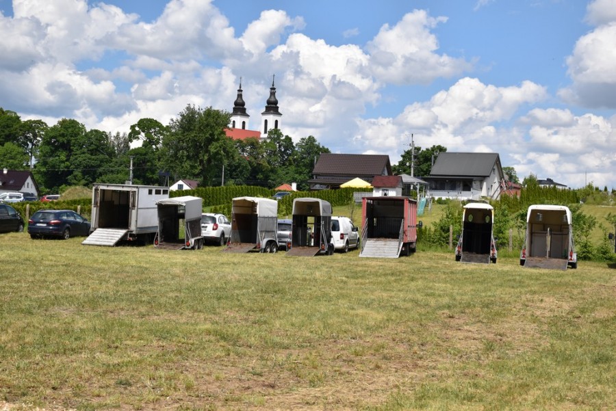 dsc_1341.jpg
