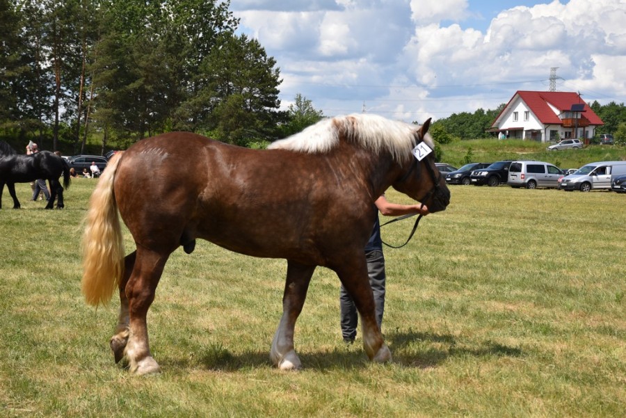 dsc_1347.jpg
