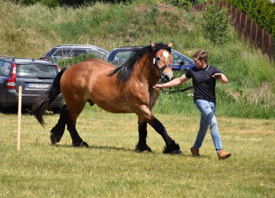 dsc_1363.jpg