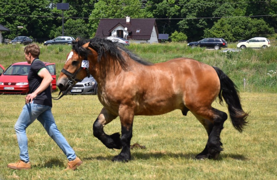 dsc_1365.jpg