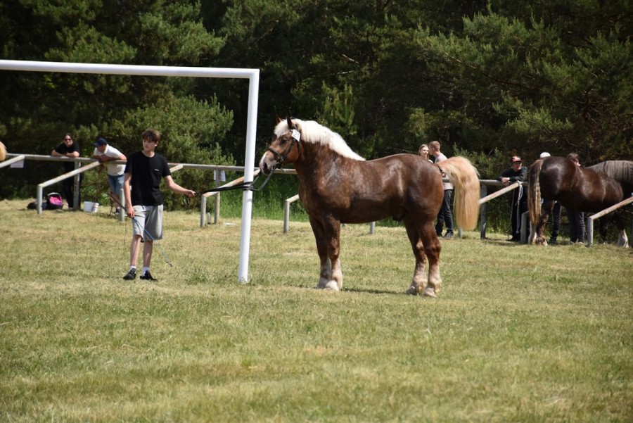 dsc_1369.jpg