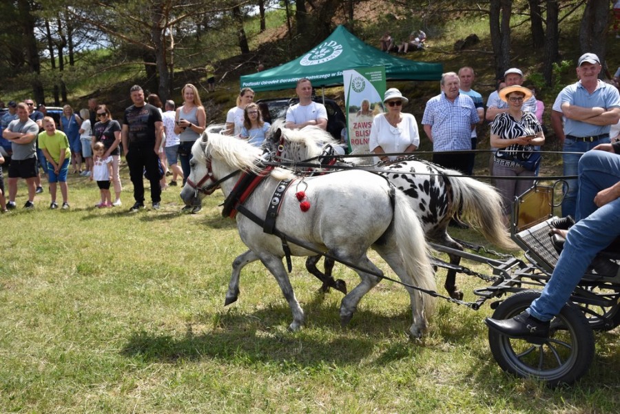 dsc_1370.jpg