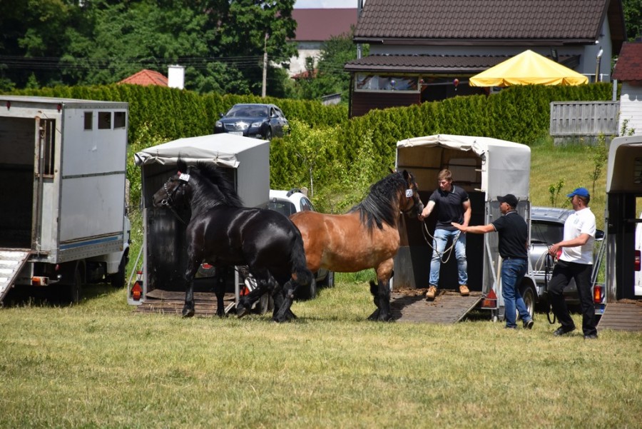 dsc_1377.jpg