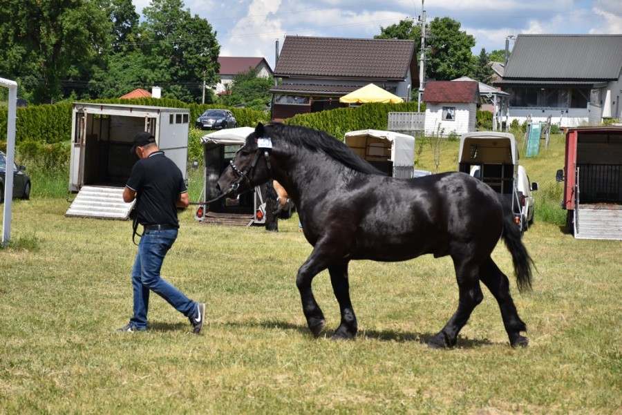 dsc_1380.jpg