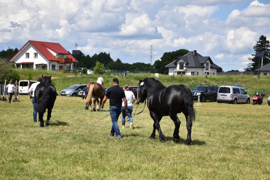 dsc_1404.jpg