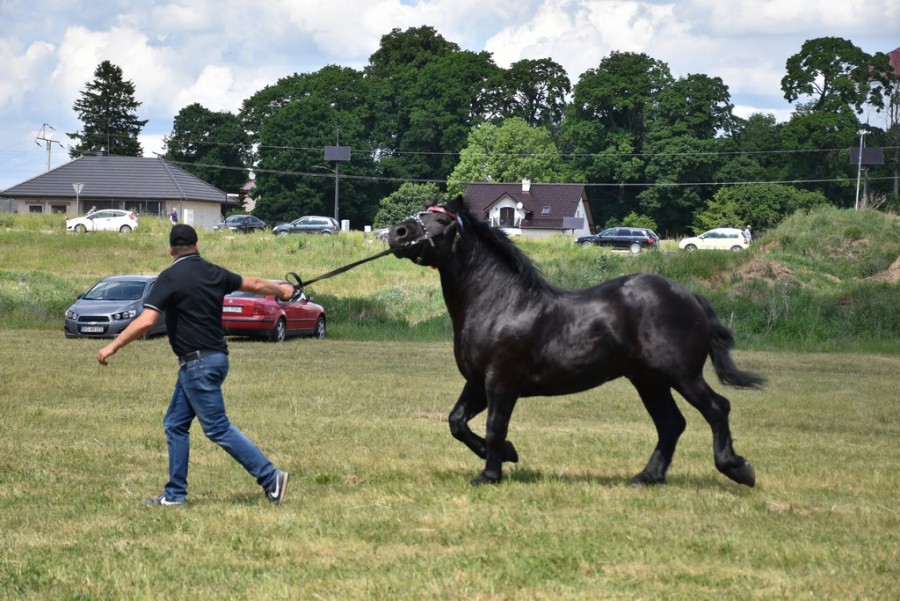 dsc_1409.jpg