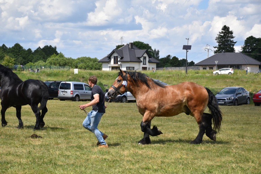 dsc_1411.jpg