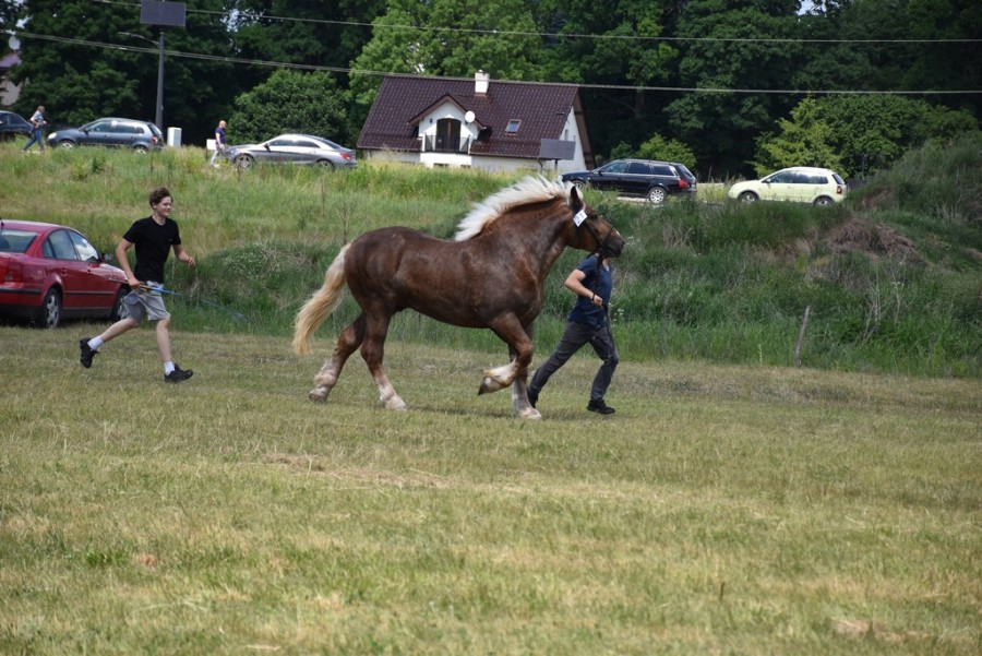 dsc_1412.jpg