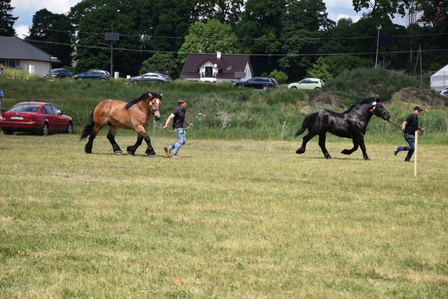 dsc_1414.jpg