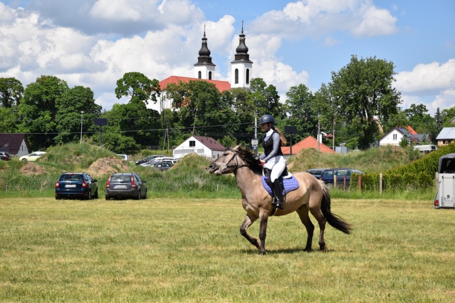 dsc_1441.jpg