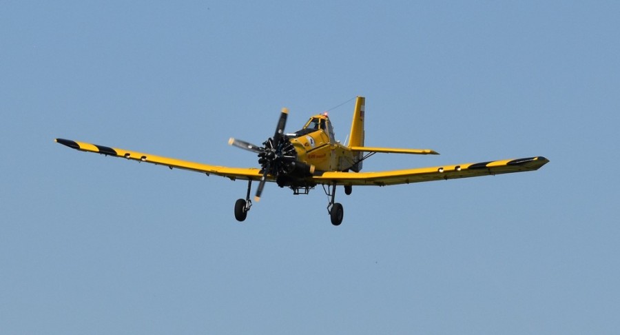 dsc_1700.jpg