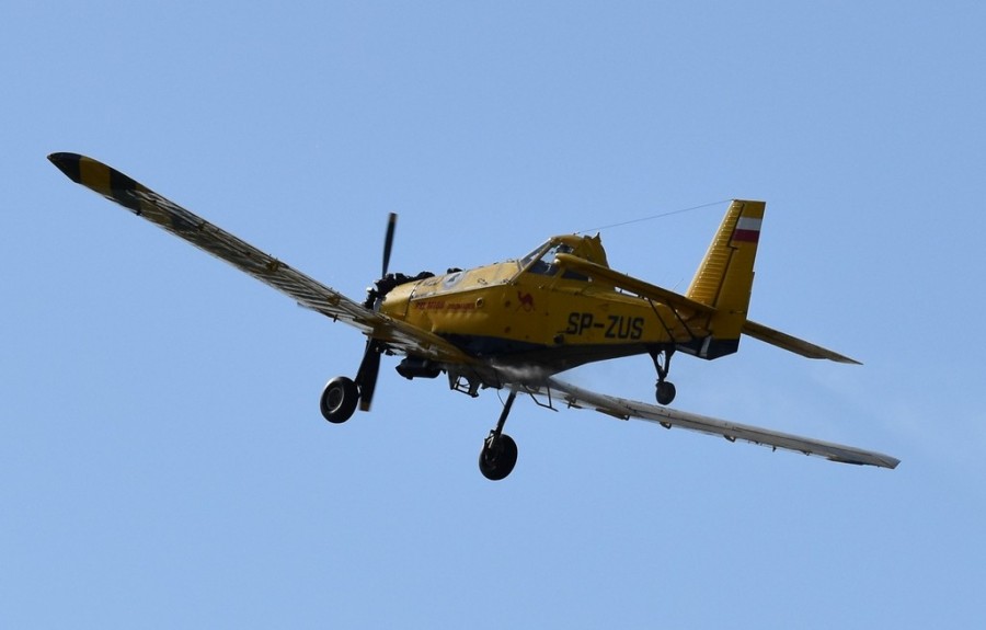 dsc_1702.jpg