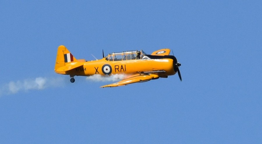 dsc_1703.jpg