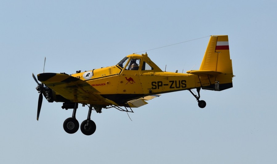 dsc_1705.jpg