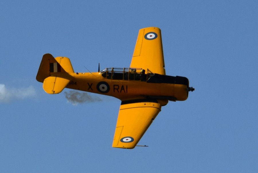 dsc_1711.jpg