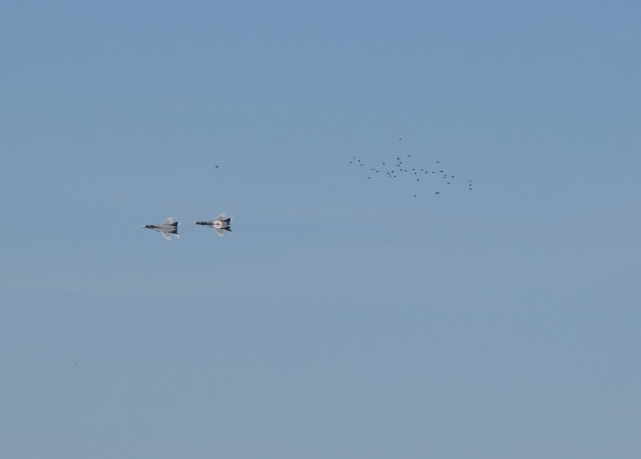 dsc_1732.jpg