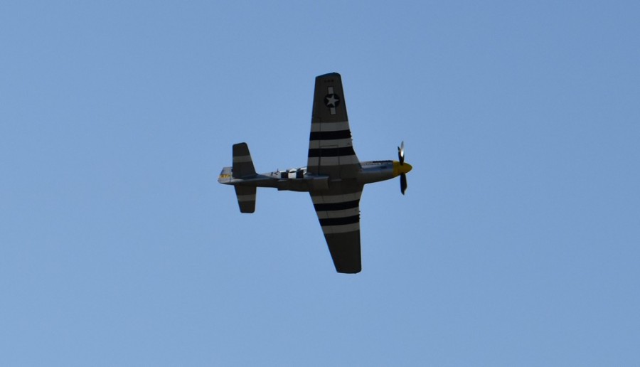 dsc_1767.jpg