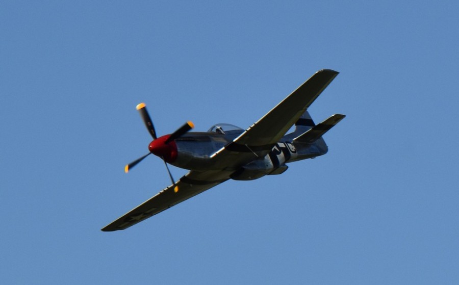 dsc_1771.jpg