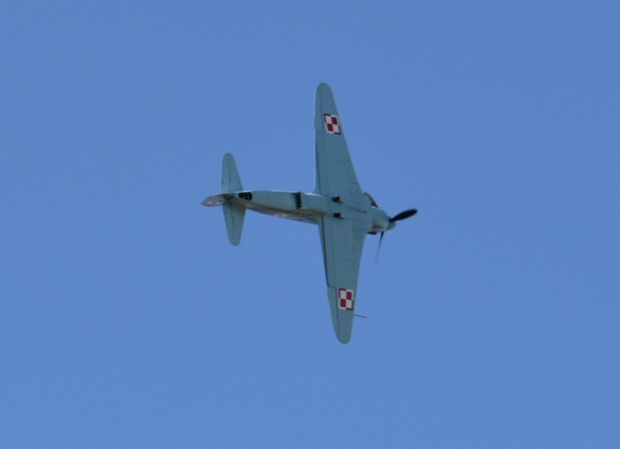 dsc_1778.jpg