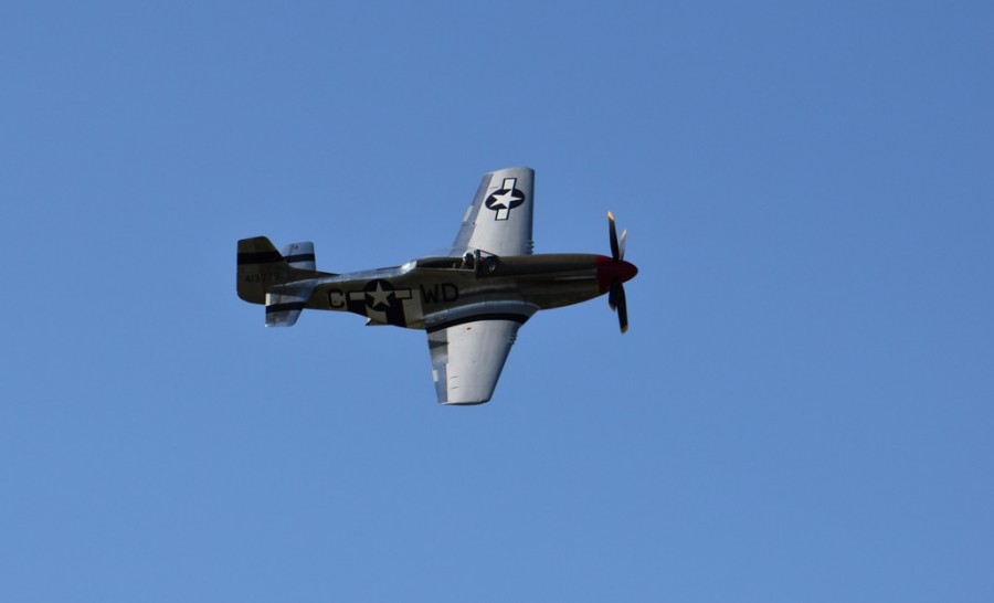 dsc_1790.jpg