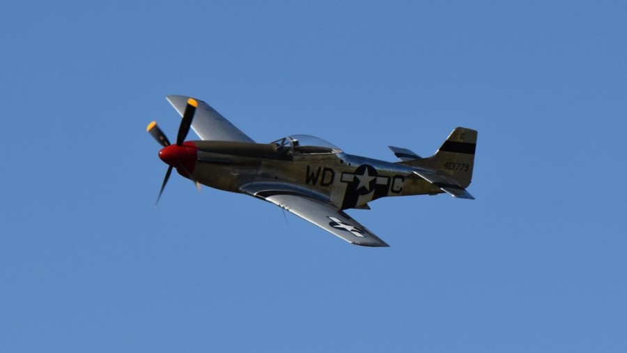 dsc_1800.jpg