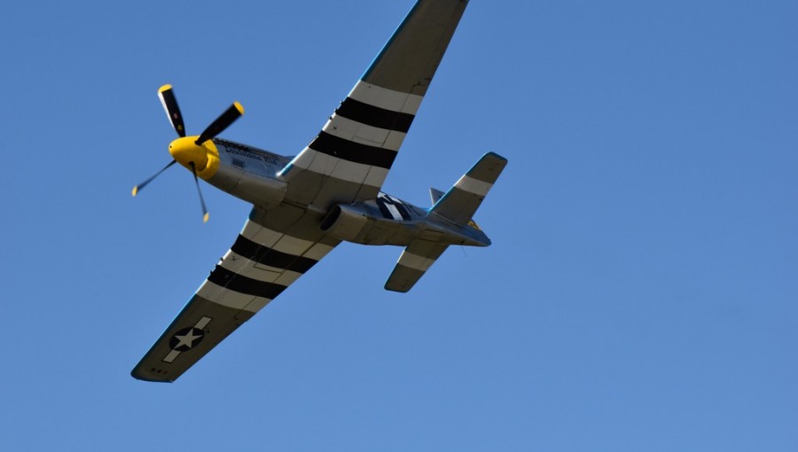 dsc_1803.jpg