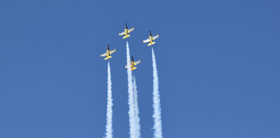 dsc_1917.jpg