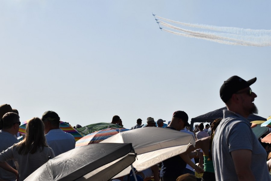 dsc_1946.jpg