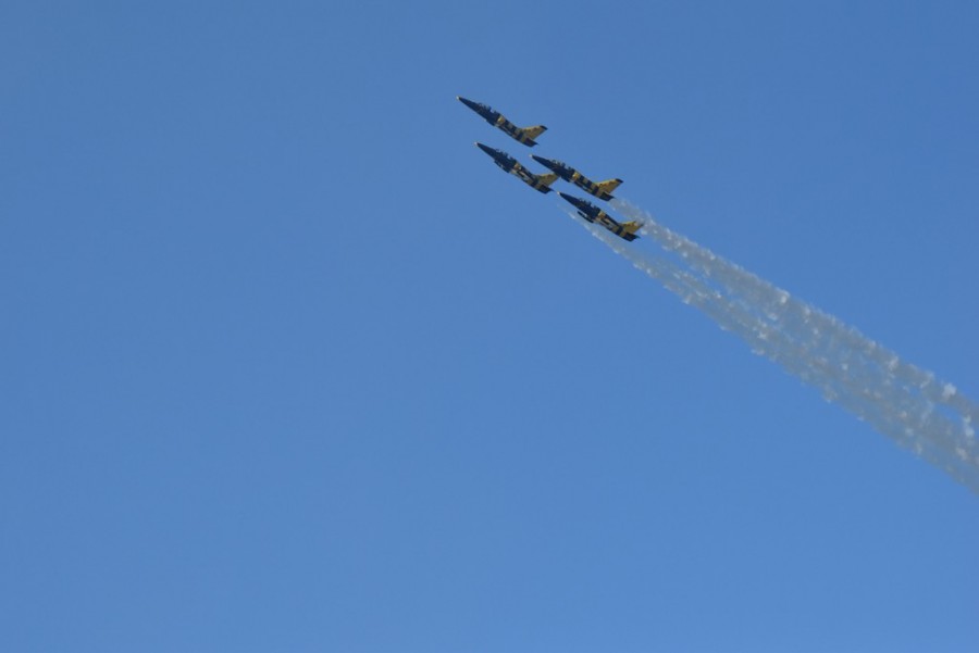 dsc_1955.jpg