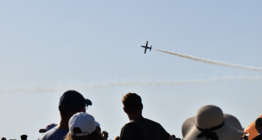 dsc_1972.jpg