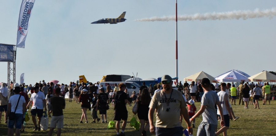 dsc_2019.jpg