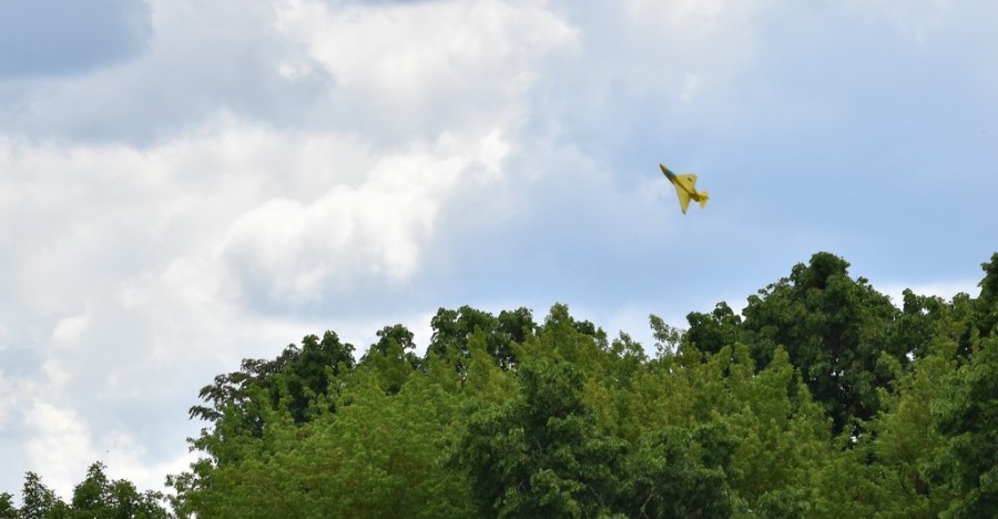 dsc_1201.jpg