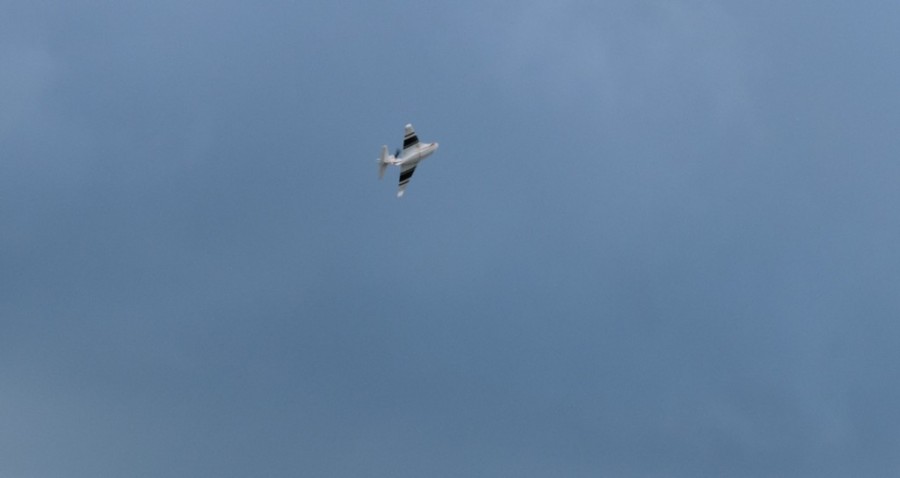 dsc_1202.jpg