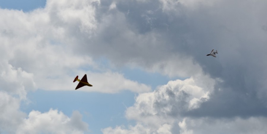 dsc_1204.jpg