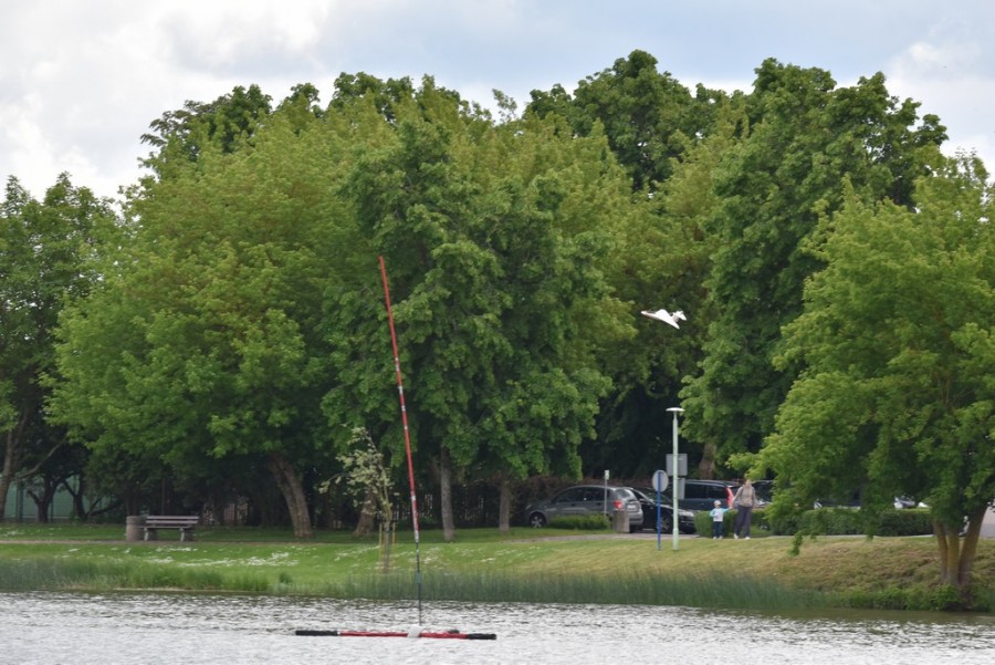 dsc_1206.jpg