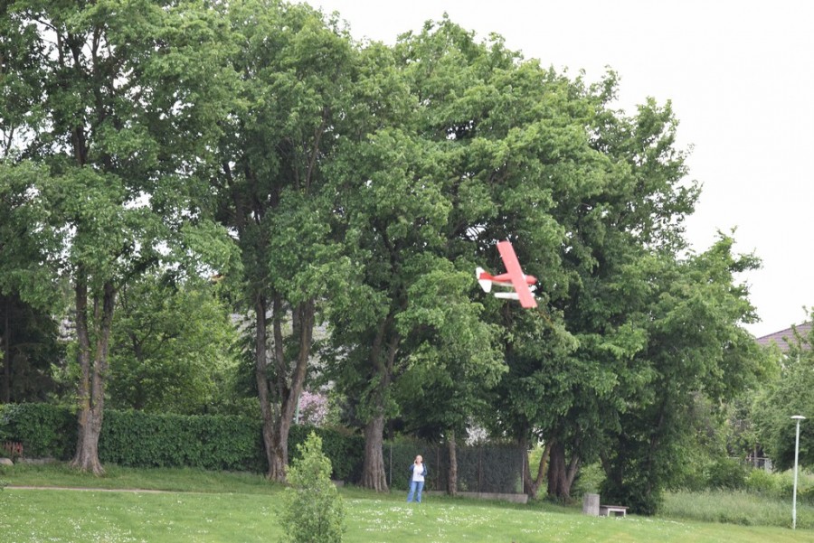 dsc_1217.jpg