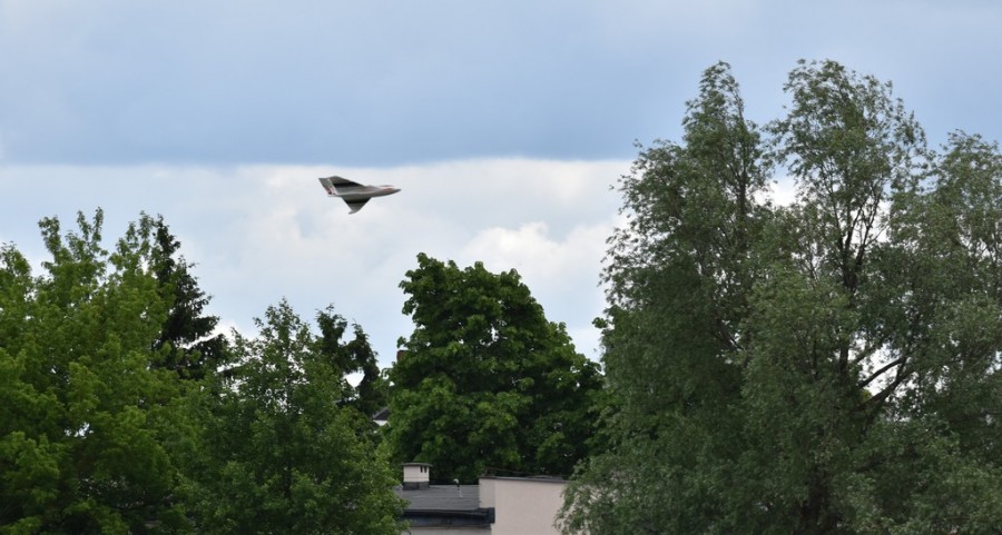 dsc_1223.jpg
