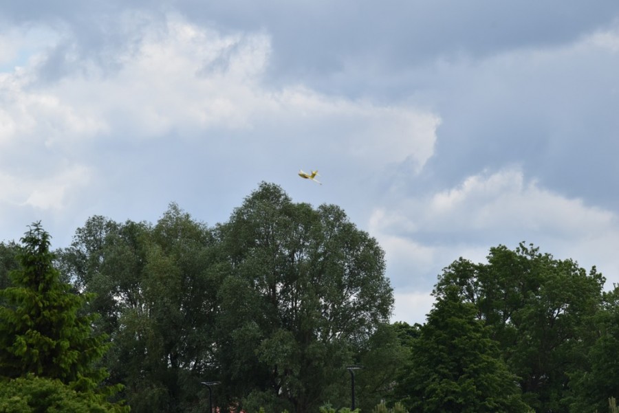 dsc_1227.jpg