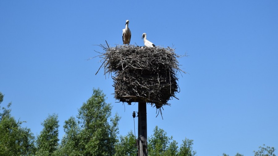 dsc_1659.jpg