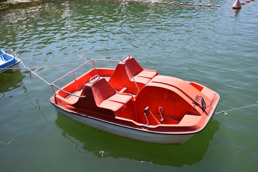dsc_1687.jpg