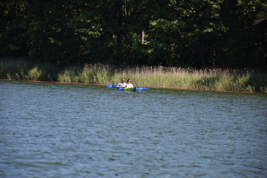 dsc_1804.jpg