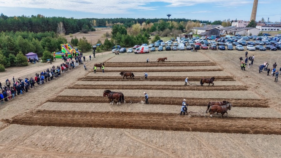 Święto Pierwszej skiby w Wiejsiejach. Zawody orki, żywe tradycje i silny duch wspólnoty [zdjęcia]
