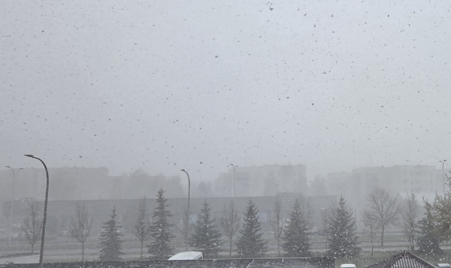 Kwiecień plecień do wieczora i w nocy. Ostrzeżenia przed silnym wiatrem i przymrozkami 